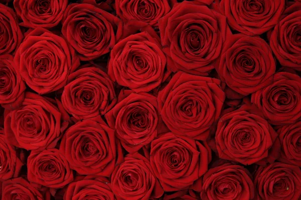 Red rose wedding arrangement — Stock Photo, Image