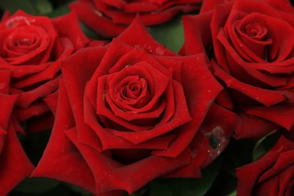 Rosas vermelhas em buquê de noiva — Fotografia de Stock