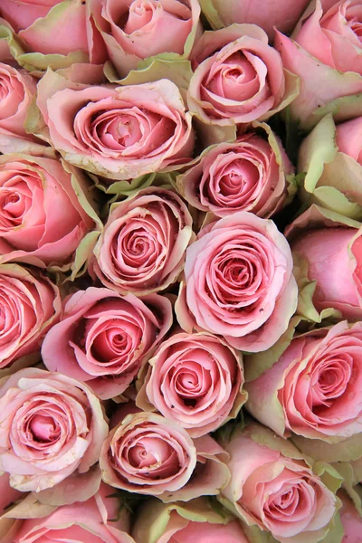 Roze rozen in een bruiloft arrangement — Stockfoto