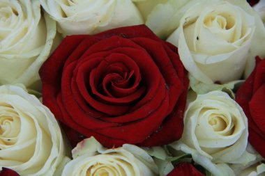 Kırmızı ve beyaz gül düğün düzenleme