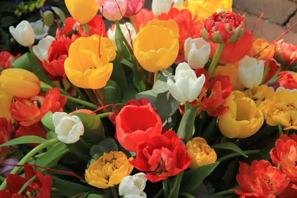 Tulip boeket — Stockfoto