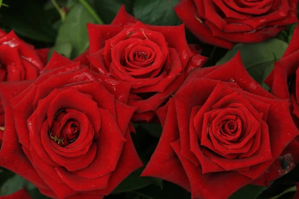 Rode rozen in bruids boeket — Stockfoto