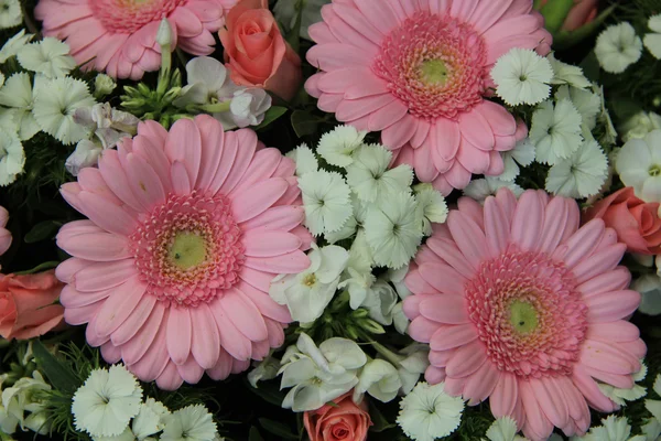 混合的粉红色新娘花 — 图库照片