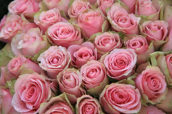 ウェディング アレンジメント ピンクのバラ — ストック写真