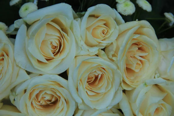 Rosas brancas do casamento — Fotografia de Stock