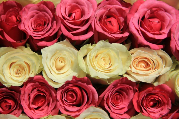 Ροζ τριαντάφυλλα σε διαφορετικές αποχρώσεις στην ρύθμιση του γάμου — Φωτογραφία Αρχείου