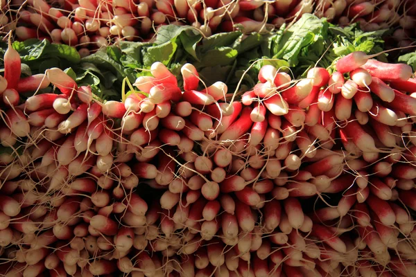 Carciofi — Foto Stock