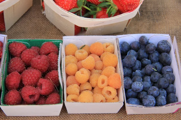 Raspberries and Blueberries — Stock Photo, Image