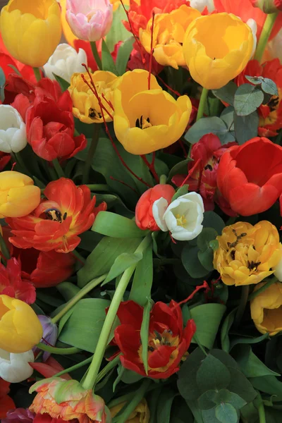 Tulpenstrauß — Stockfoto