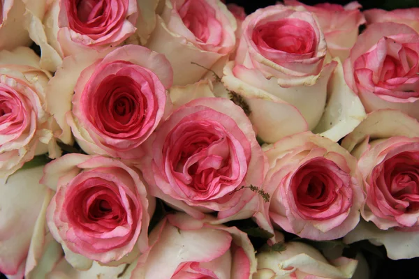 Rosas de casamento rosa — Fotografia de Stock