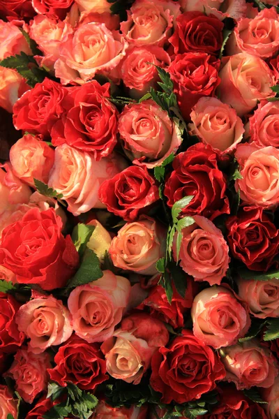 Rose rosse e rosa — Foto Stock