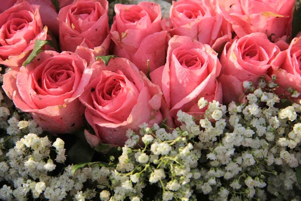 Rosas rosadas y ramo de aliento de bebé — Foto de Stock