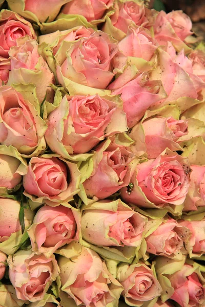 Wedding decorations with pink roses — Stock Photo, Image