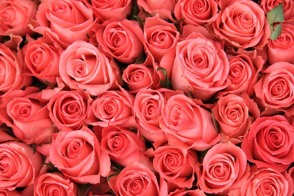 Růžové růže v svatební uspořádání — Stock fotografie