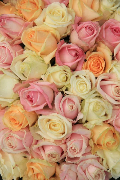 Pastel roses in a wedding arrangement — Stock Photo, Image