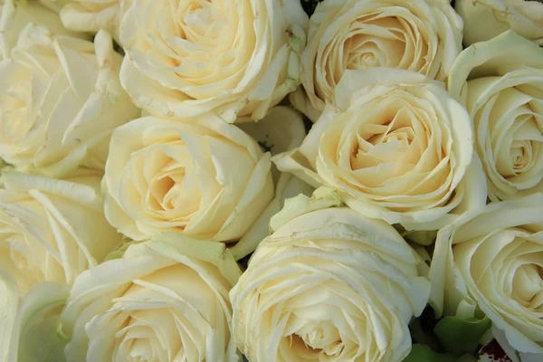 Roses blanches au bouquet nuptial — Photo