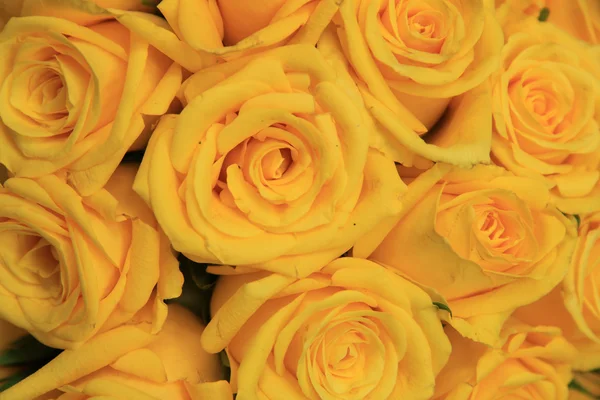 Yellow wedding roses — Stock Photo, Image