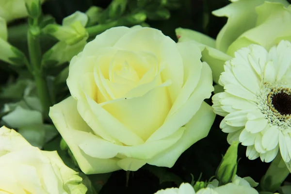 Flores de boda blancas — Foto de Stock