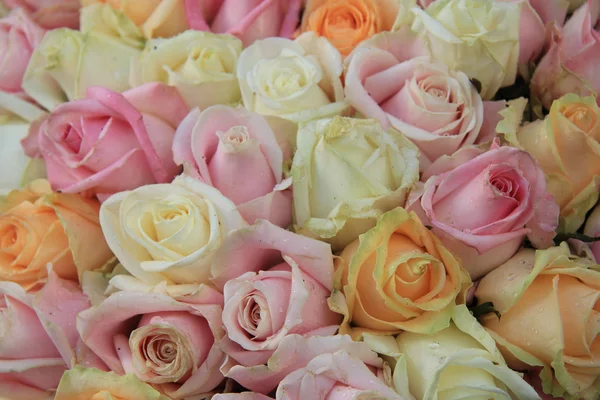 Pastel rozen in een bruiloft arrangement — Stockfoto