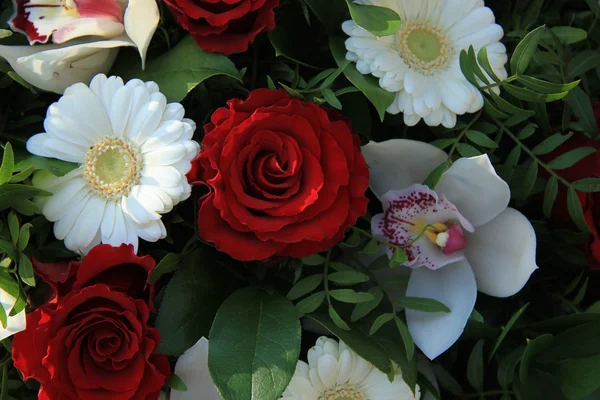 Cymbidium-Orchideen, rote Rosen und weiße Gerbera — Stockfoto