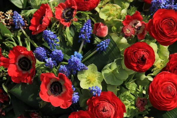 Wiosenne kwiaty w kolorze czerwonym i niebieskim — Zdjęcie stockowe