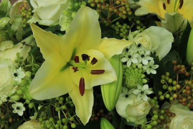 Tiger Lily düğün düzenleme