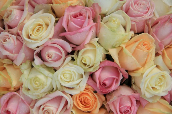Παστέλ τριαντάφυλλα σε μια ρύθμιση του γάμου — Φωτογραφία Αρχείου