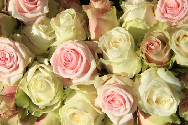 Bouquet de mariage pastel — Photo