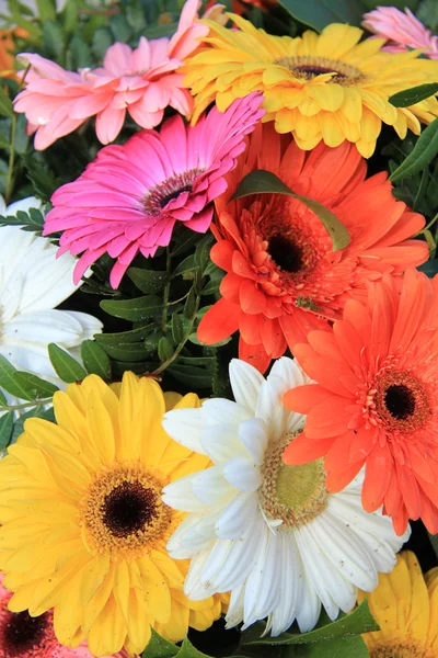 Gerberas in a colorful bridal bouquet — Stock Photo, Image