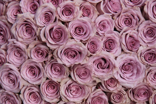 Purple rose wedding arrangement — Stock Photo, Image