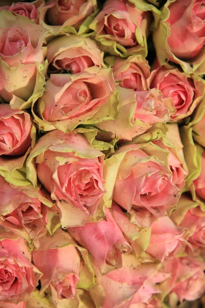 Hochzeitsdekoration mit rosa Rosen — Stockfoto