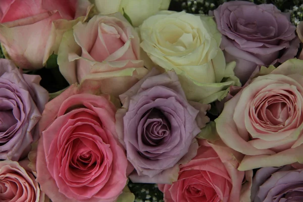 在柔和的色彩新娘玫瑰 — 图库照片