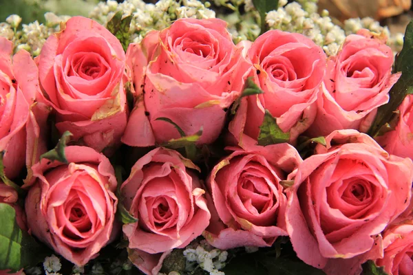 Ροζ τριαντάφυλλα και μωρό αναπνοή μπουκέτο — Φωτογραφία Αρχείου