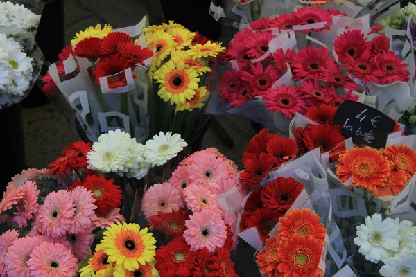 Gerberas at a flower market — Stock Photo, Image