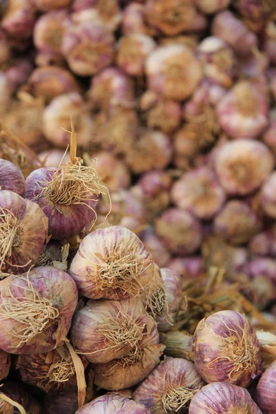 Fresh garlic — Stock Photo, Image