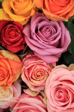 çok renkli düğün gül