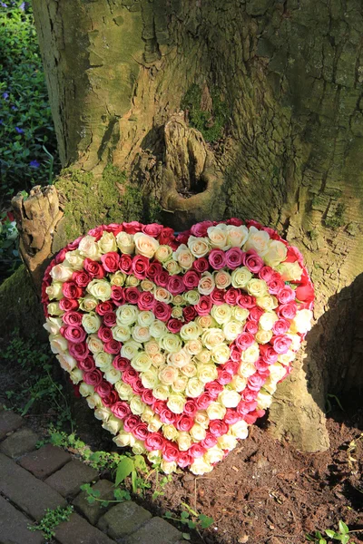 Flores de simpatía en forma de corazón — Foto de Stock