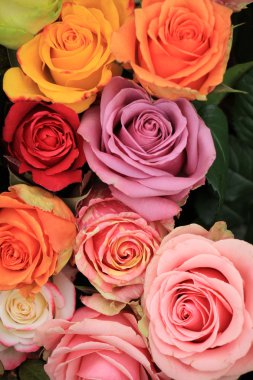 çok renkli düğün gül