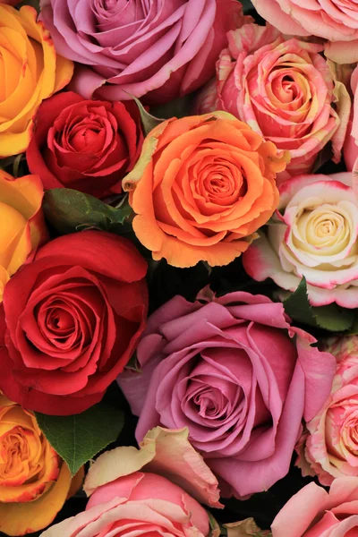 Rosas de casamento multicoloridas Imagens De Bancos De Imagens