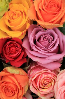 çok renkli düğün gül