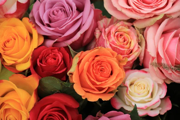 Rosas de boda multicolores —  Fotos de Stock