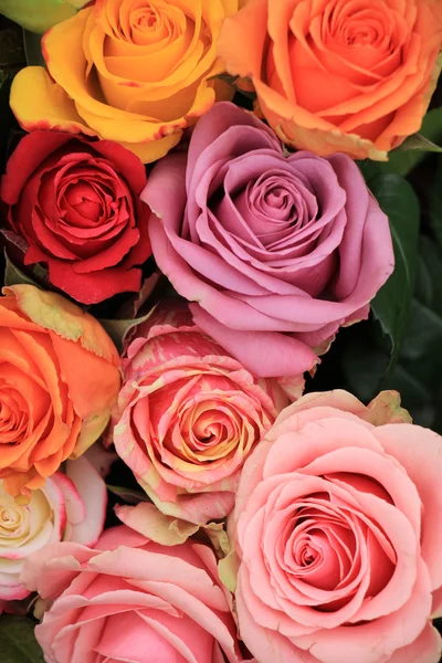 Rosas de boda multicolores — Foto de Stock