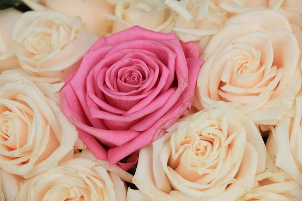 Esküvői Rózsa — Stock Fotó