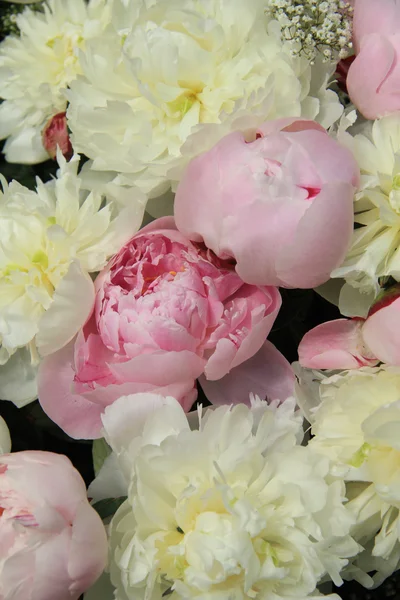 Peonia bouquet da sposa — Foto Stock