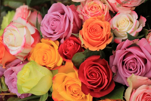 Pestrobarevné svatební růže — Stock fotografie