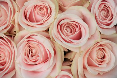 pembe düğün düzenleme