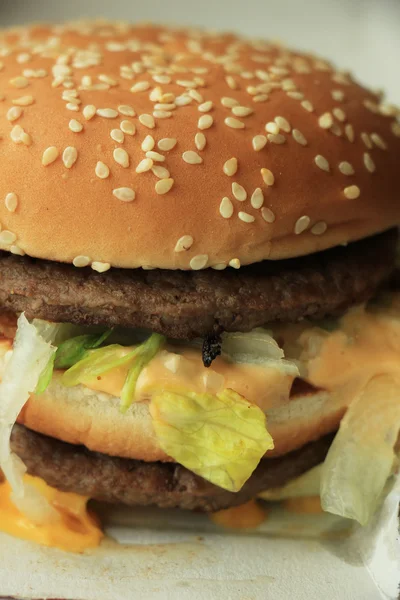 Hamburger v lepenkové krabici — Stock fotografie