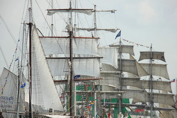 Velsen, Niederlande - 19. august 2015: sail amsterdam 2015 — Stockfoto