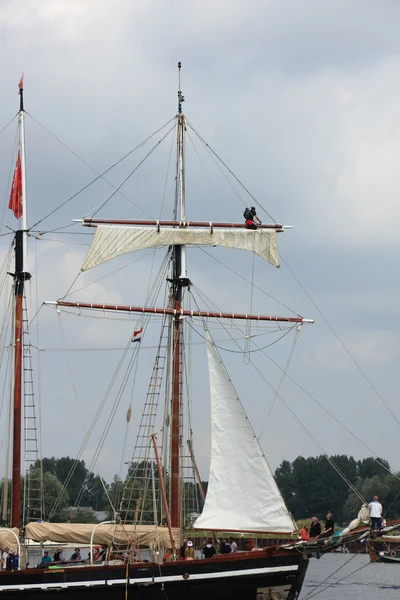 Velsen, Holandia - 19 sierpnia 2015: Sail Amsterdam 2015 — Zdjęcie stockowe