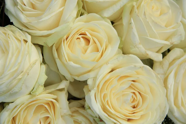 Flores de boda blancas —  Fotos de Stock